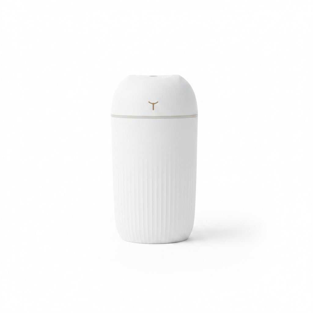 Mist Diffuser